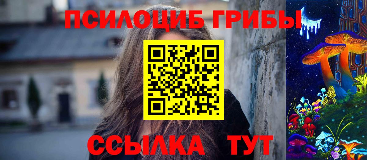 Галлюциногенные грибы MAGIC MUSHROOMS  Вход с VPN  Шатура 