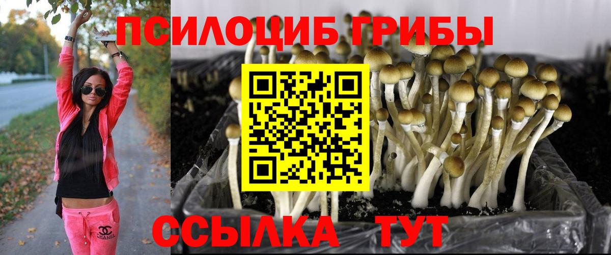 Галлюциногенные грибы прущие грибы Шатура