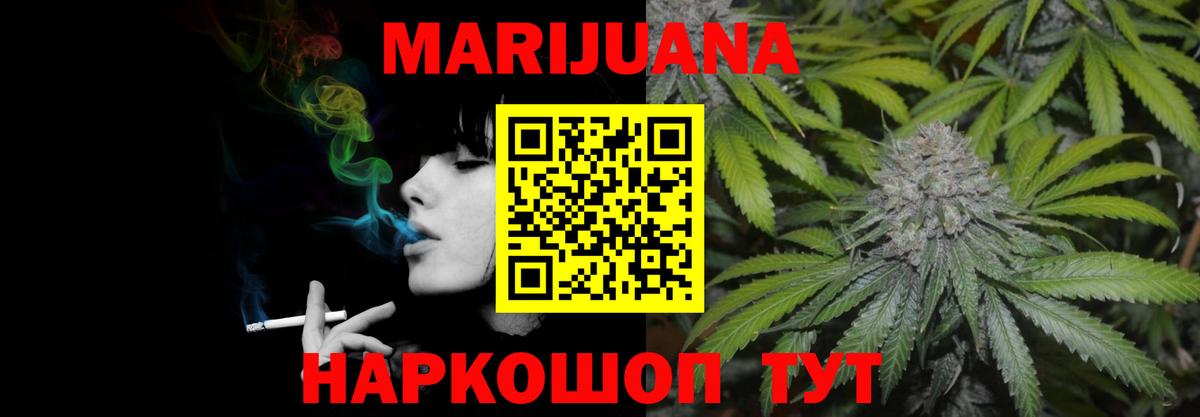 Конопля индика Шатура